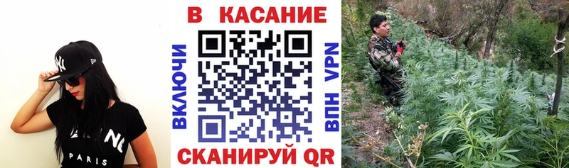 Наркошоп купить ГАШИШ  Канабис  ТГК  МЕФ  Любань