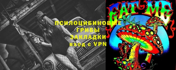 ешки Каменногорск