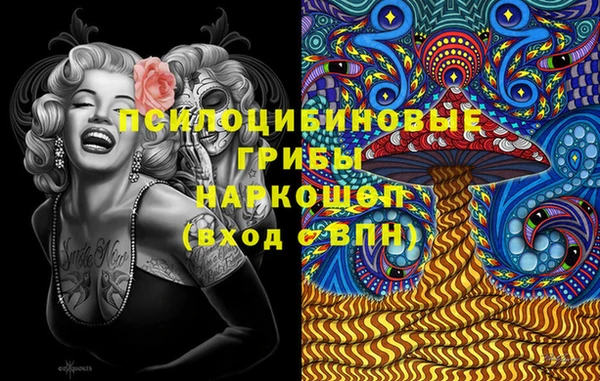 ешки Каменногорск