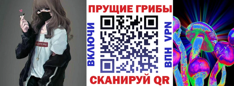 Купить  Любань  Галлюциногенные грибы мицелий 
